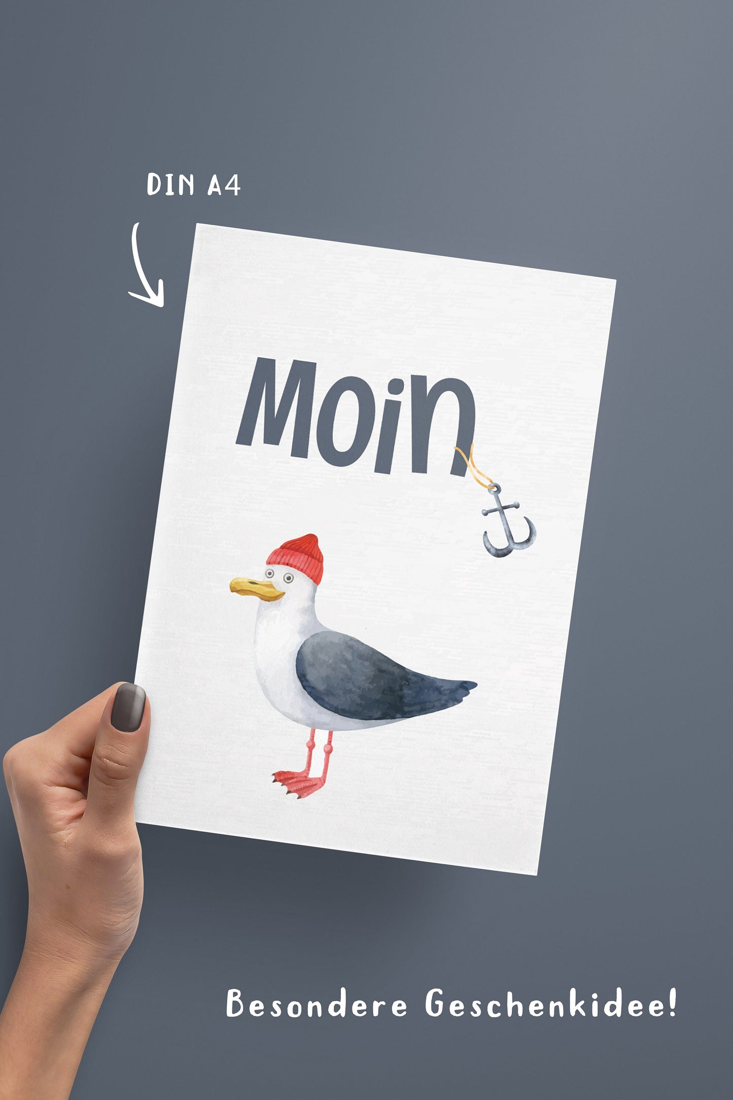 Moin | Möwe